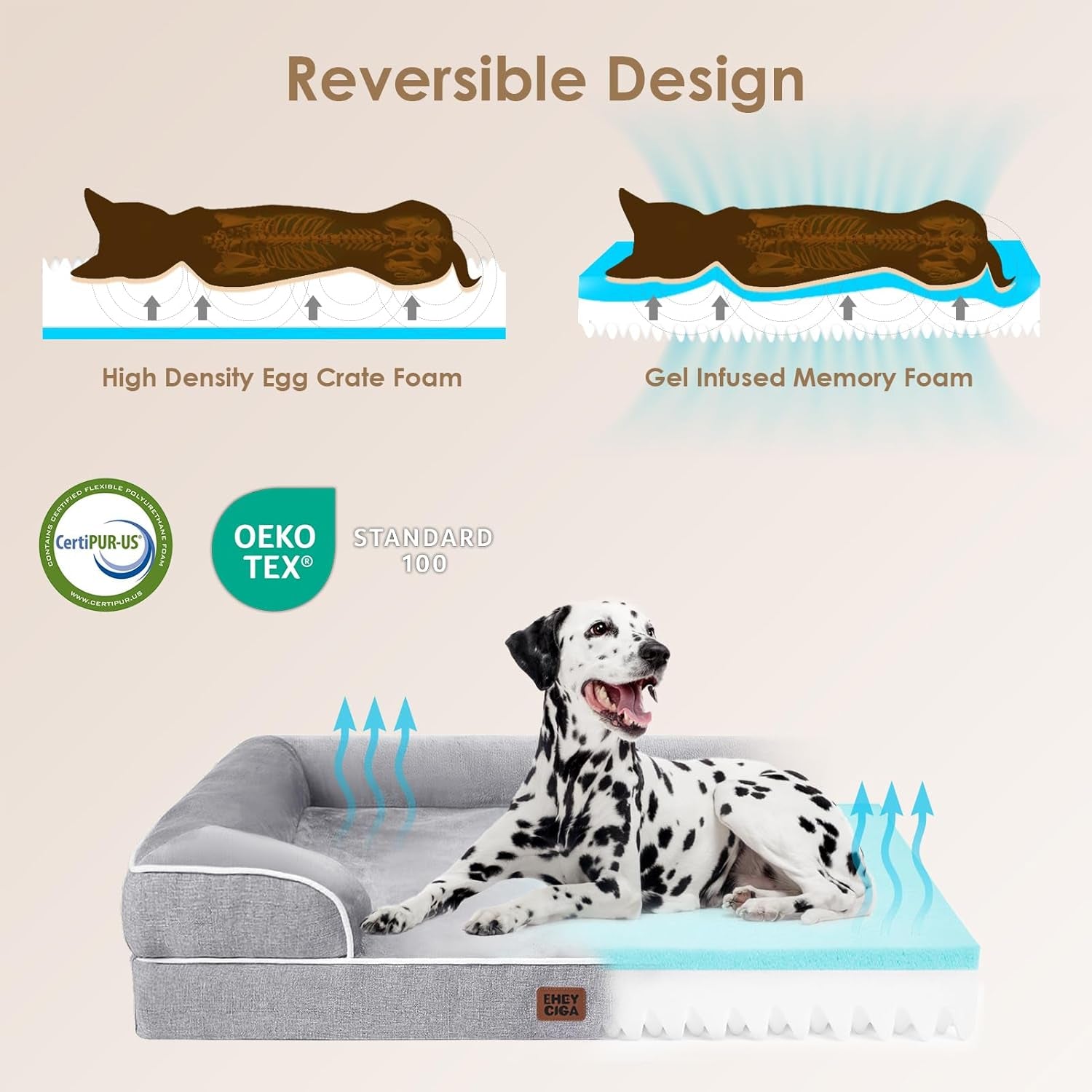 Supportive foam dog bed — additional product photo