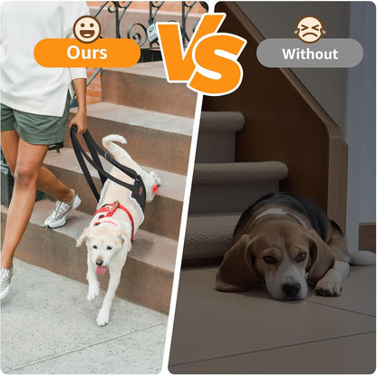Dog lift-assist harness — additional product photo