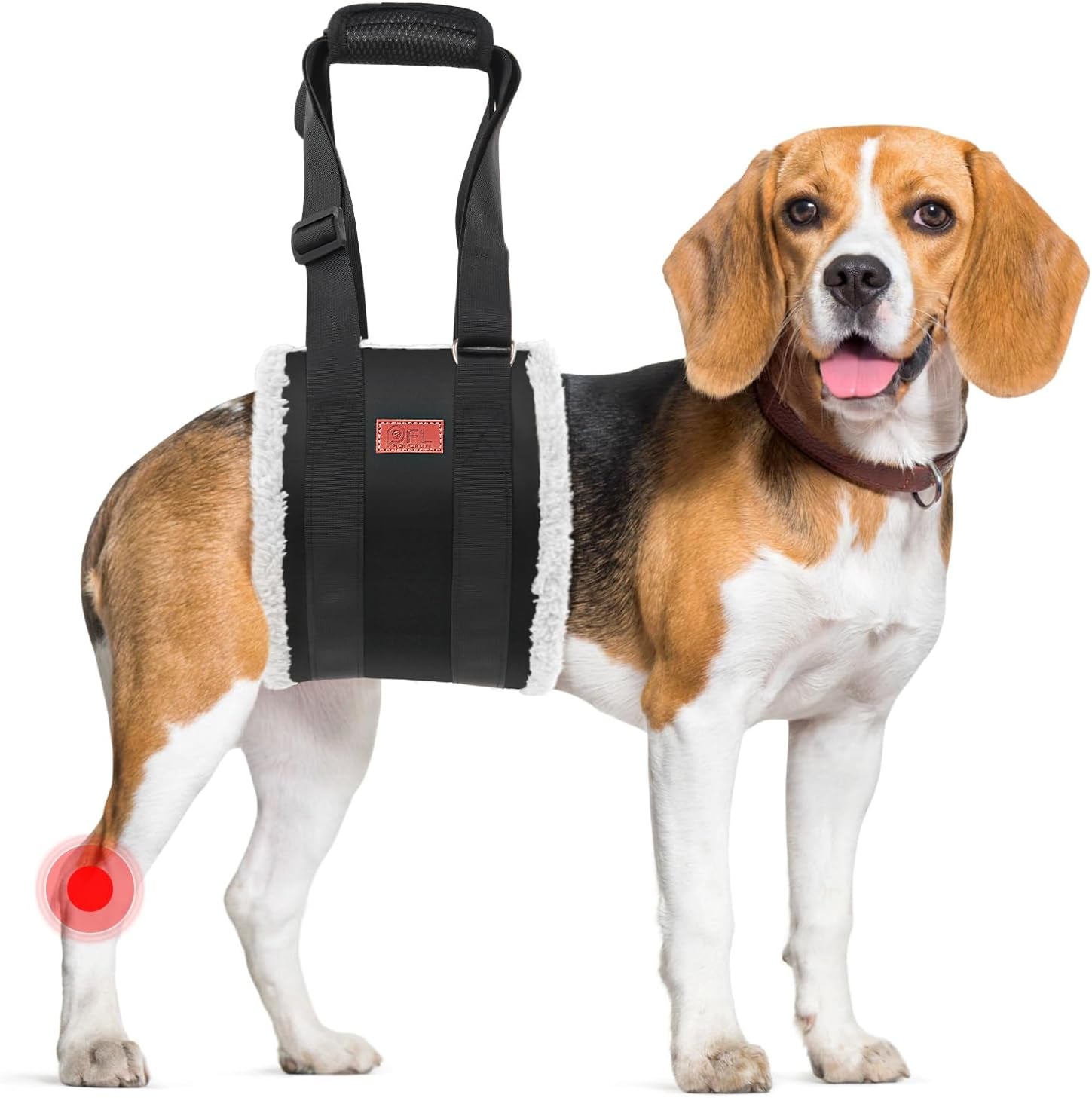 Black padded lift-assist harness for dogs