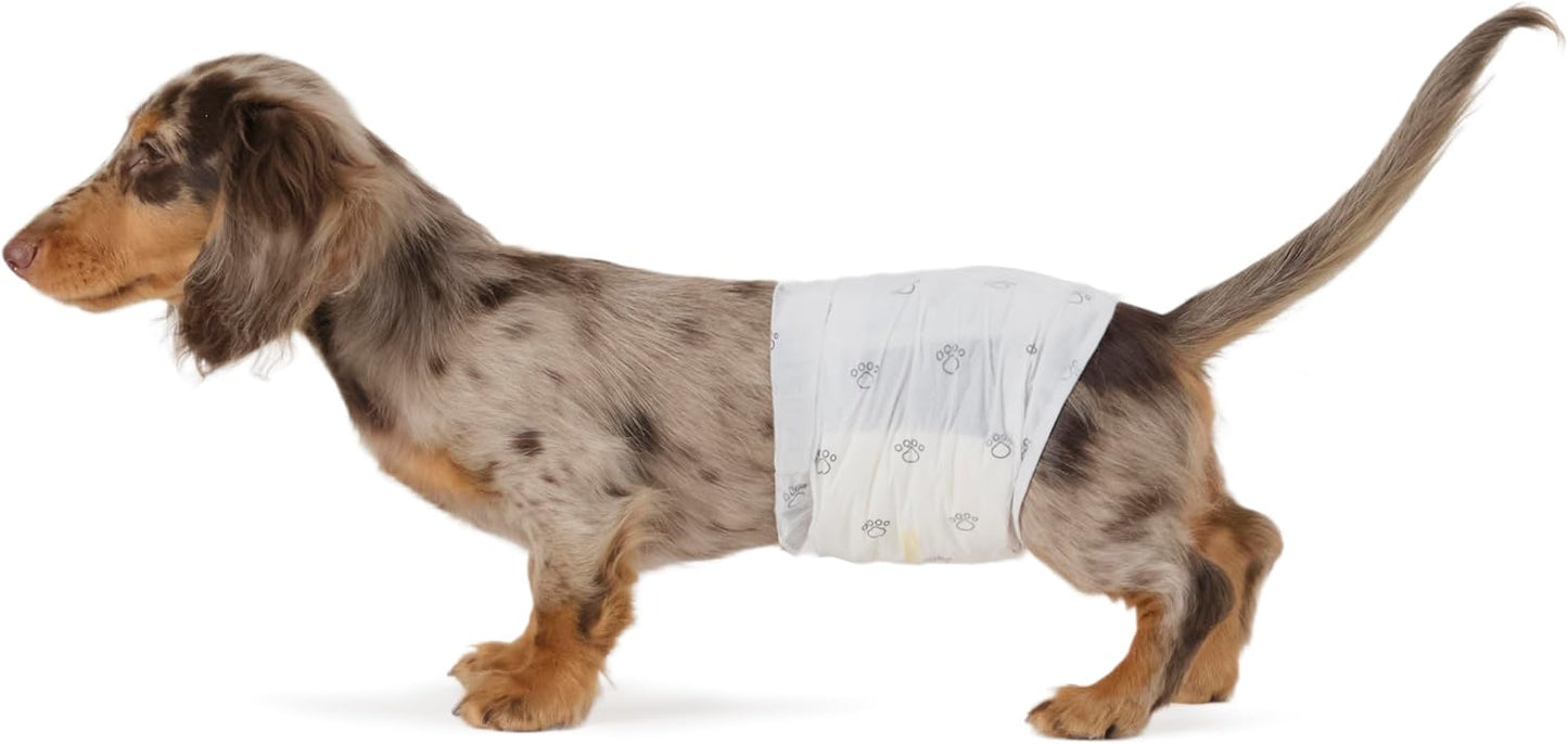 Disposable belly wraps — additional product photo