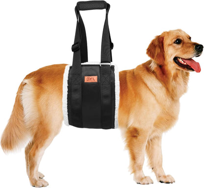 Dog lift-assist harness — size and fit reference