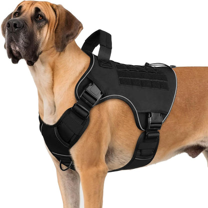 No-pull walking harness — size and fit reference