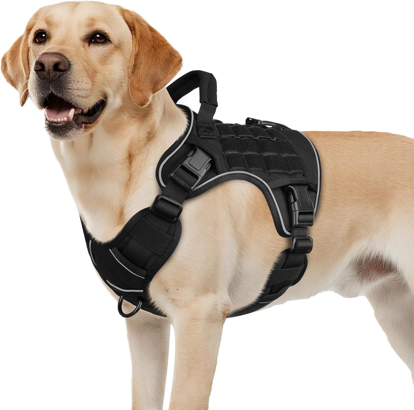 No-pull walking harness — additional product photo