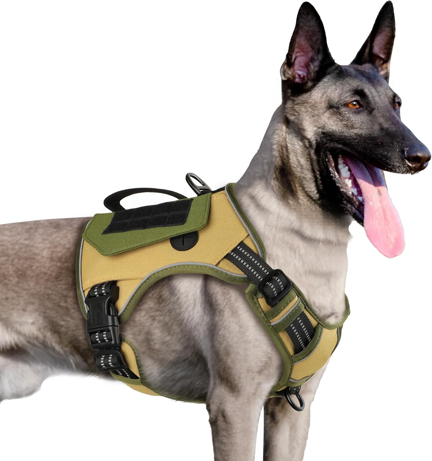No-pull walking harness — additional product photo