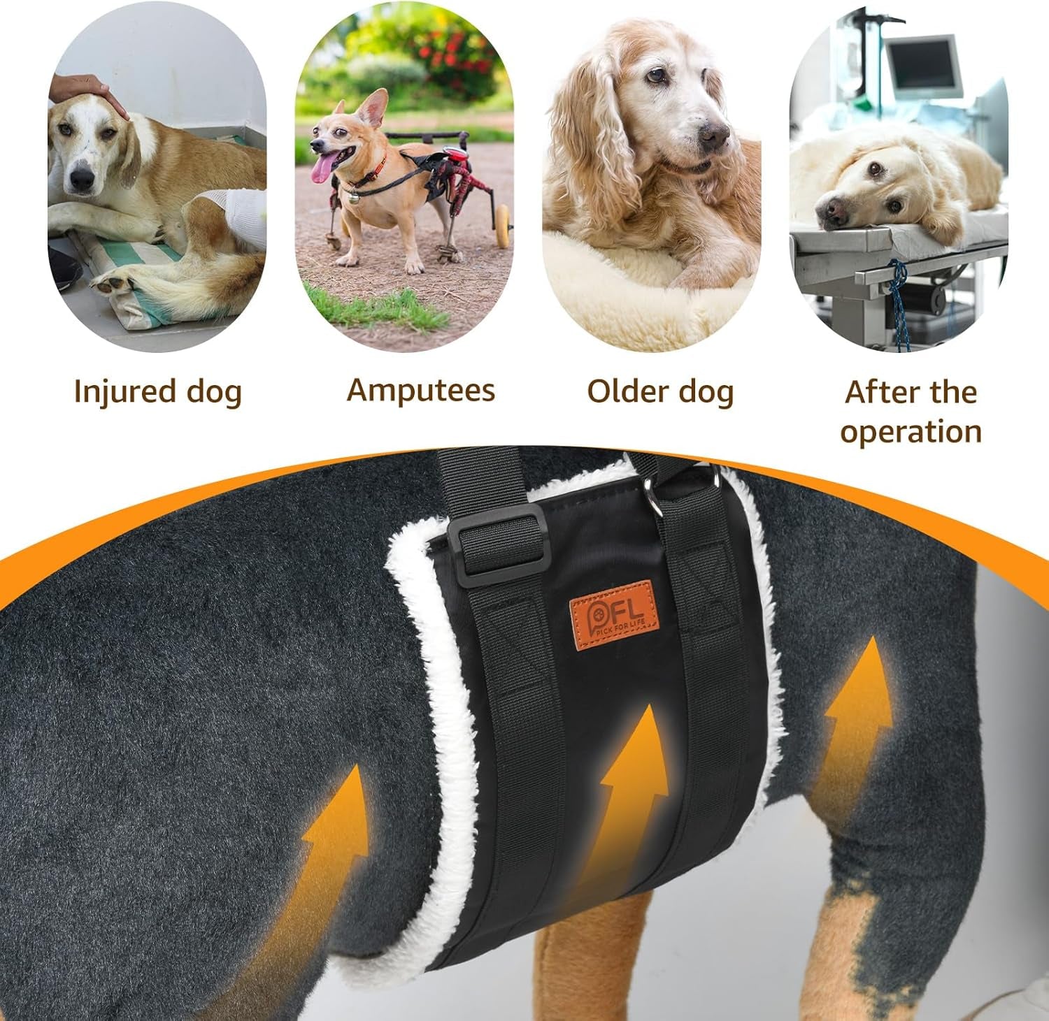 Dog lift-assist harness — additional product photo