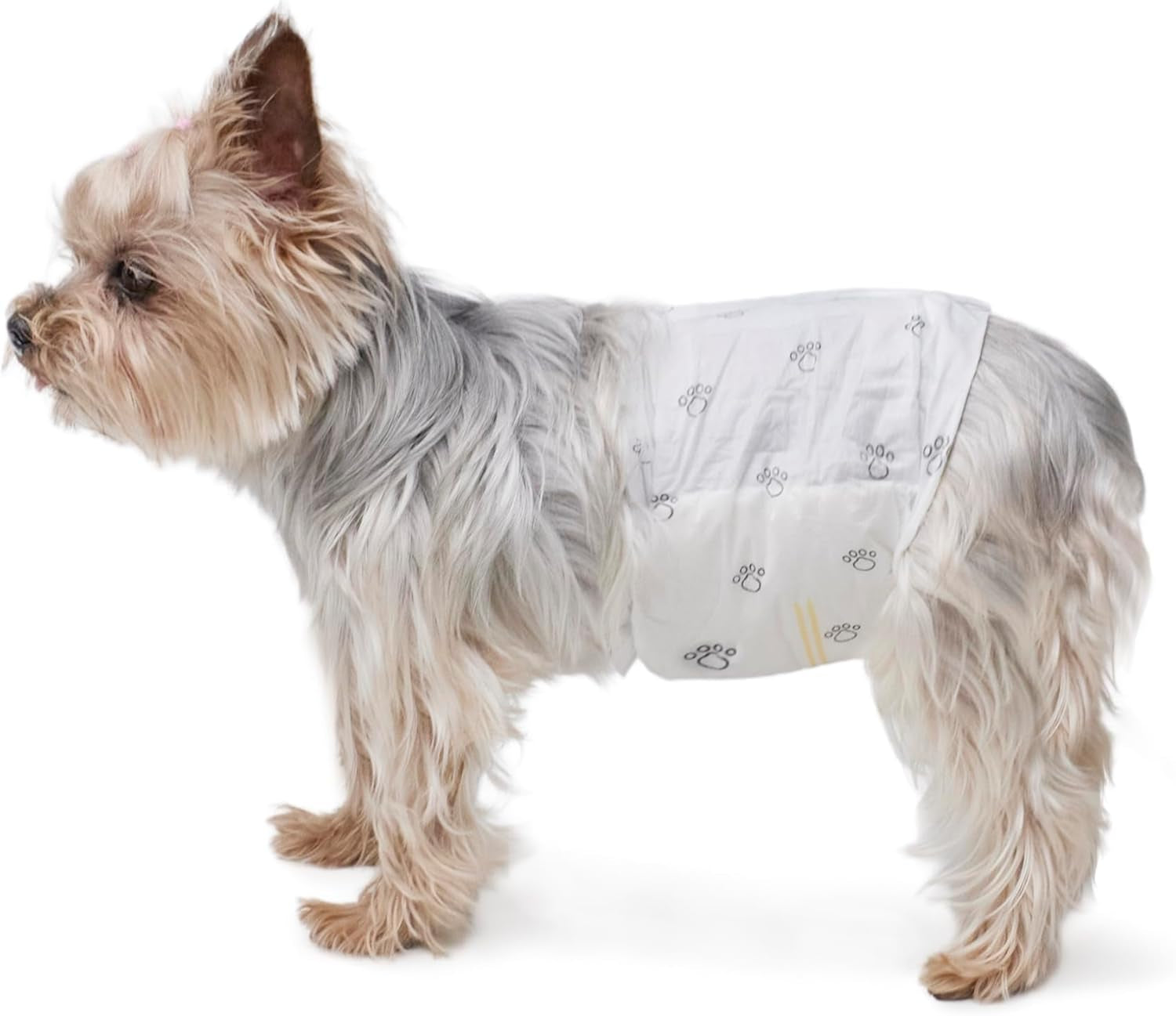 Pack of 30 disposable belly wraps for male dogs