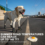 Outdoor dog boots — additional product photo