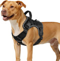 Black no-pull dog walking harness with top support handle