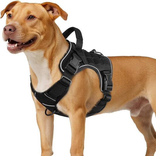 Black no-pull dog walking harness with top support handle