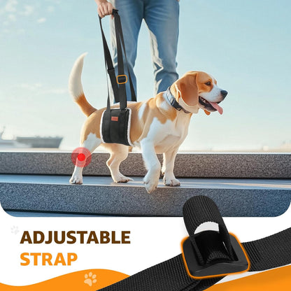 Dog lift-assist harness — additional product photo